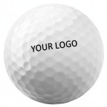 7280 Titleist Pro V1 Golf Ball – Dozen